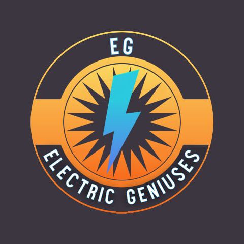 Electric Geniuses