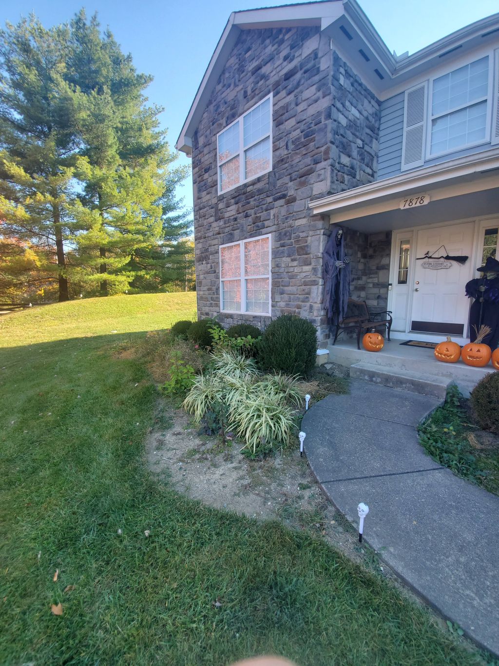 Before! Landscaping Transformation 