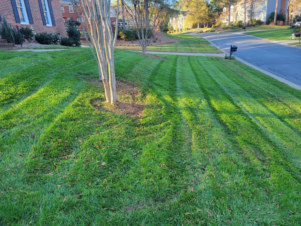 Full Service Lawn Care