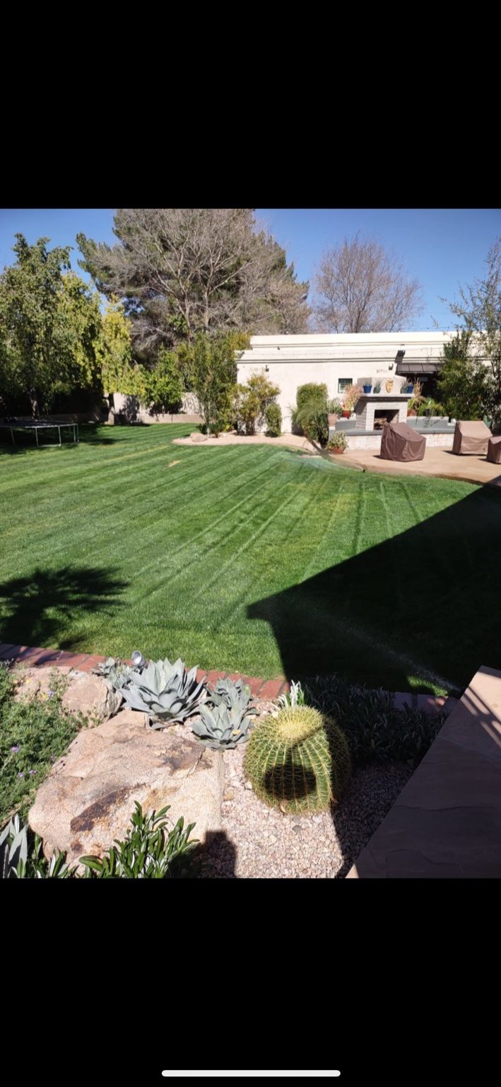 Customer photos