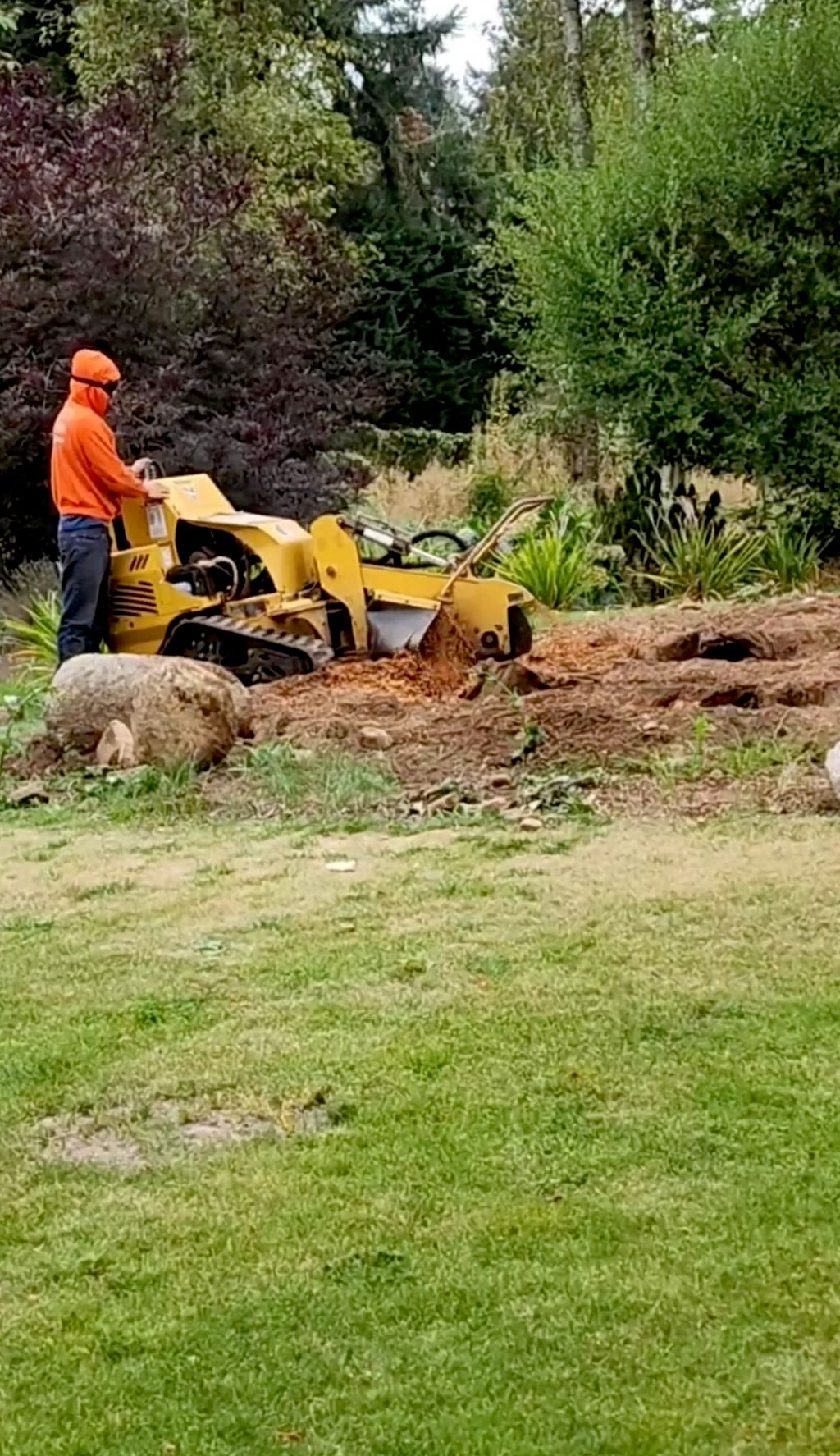 Stump Grinding 