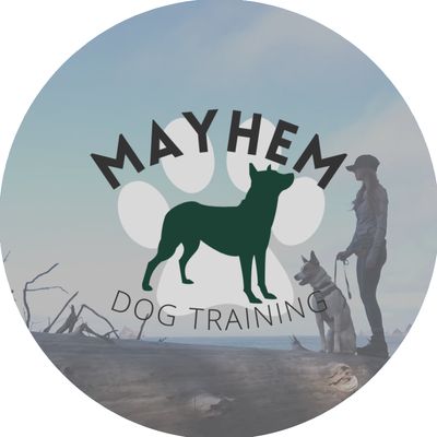 Avatar for Mayhem Dog Training