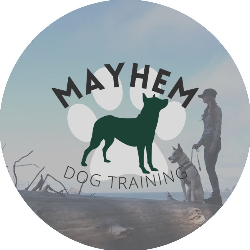 Mayhem Dog Training