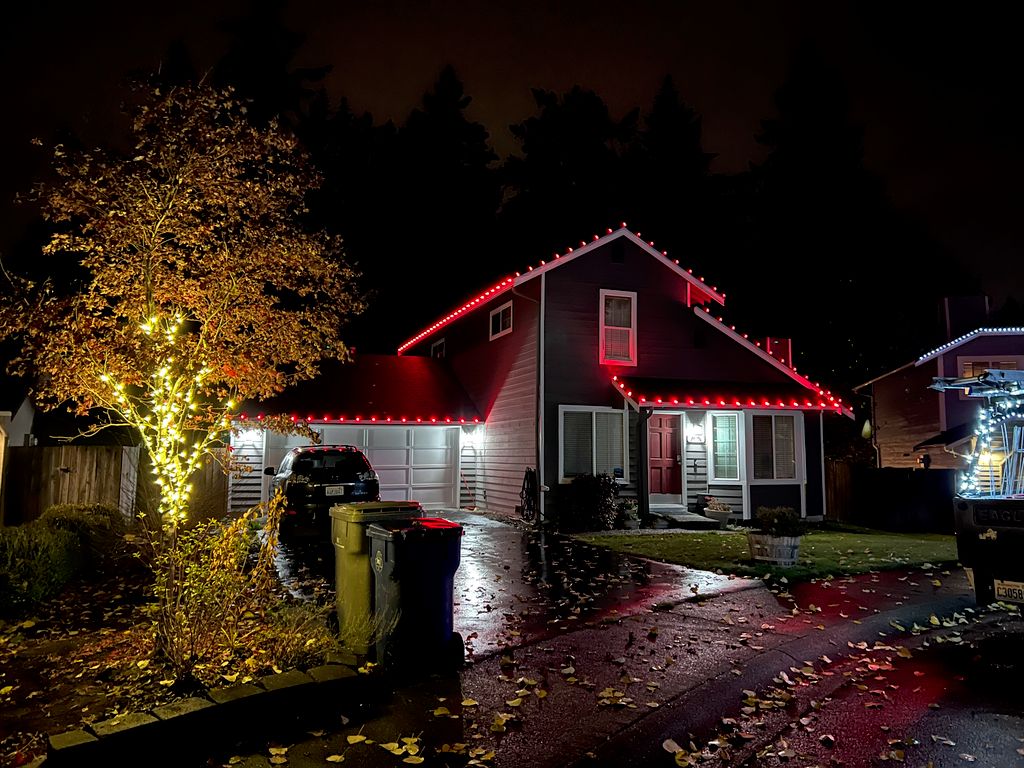 Holiday Lighting Installation and Removal