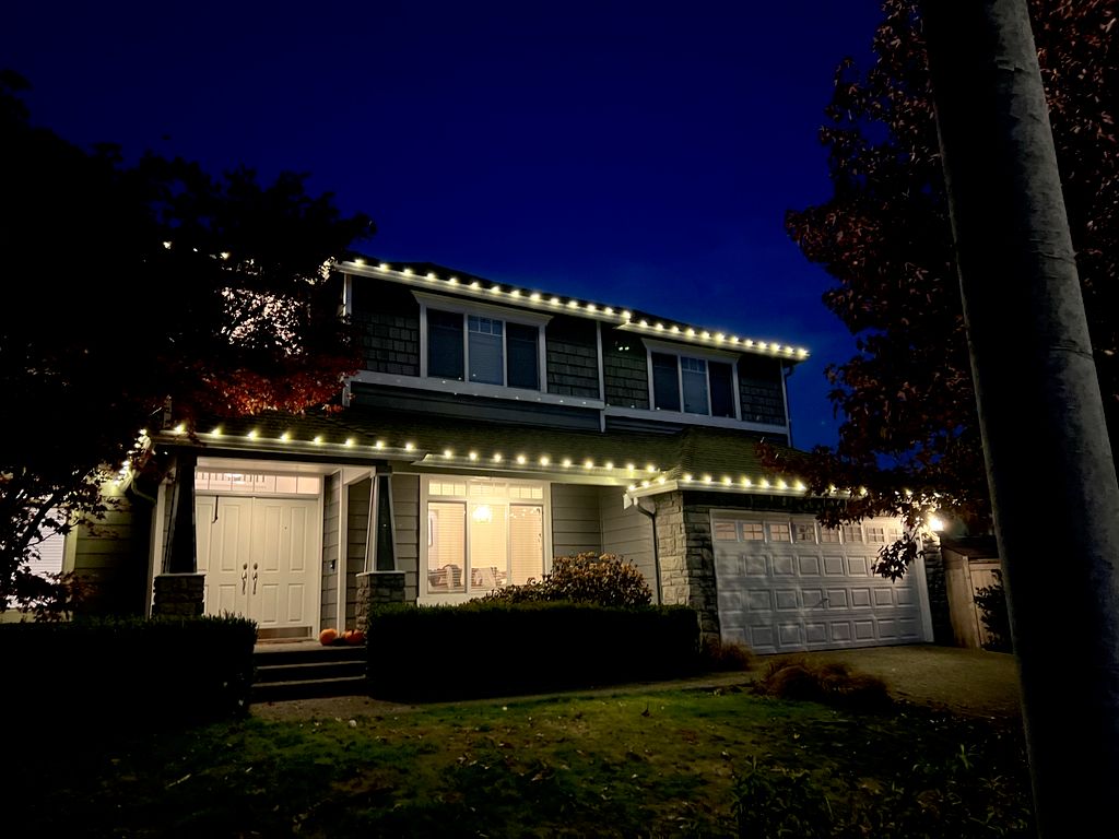 Holiday Lighting Installation and Removal