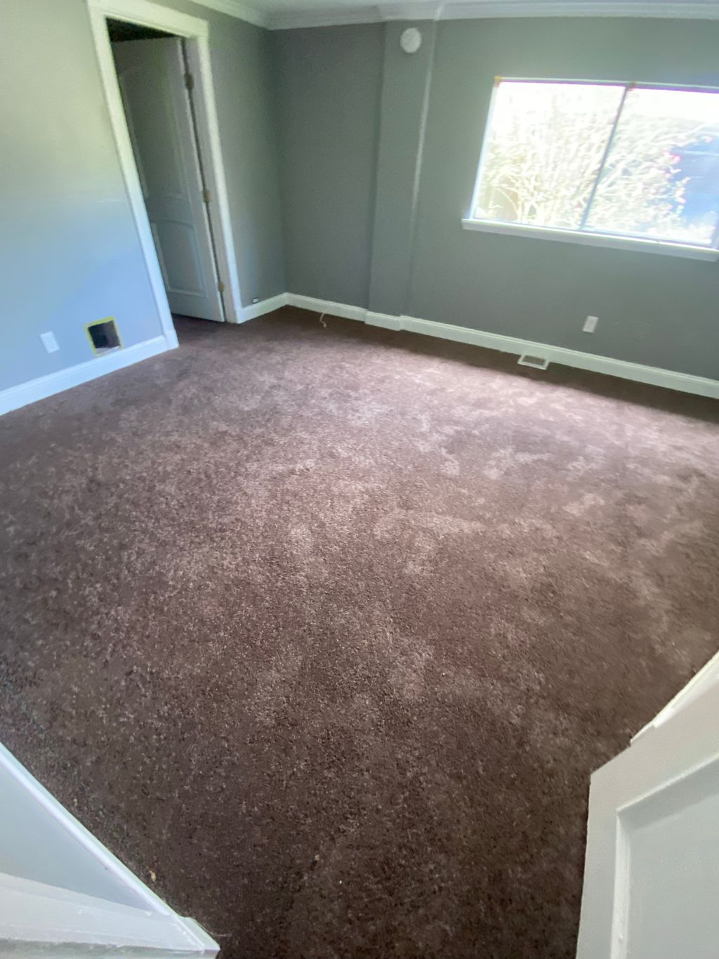 20x13 Room (Chocolate Chip Carpet)