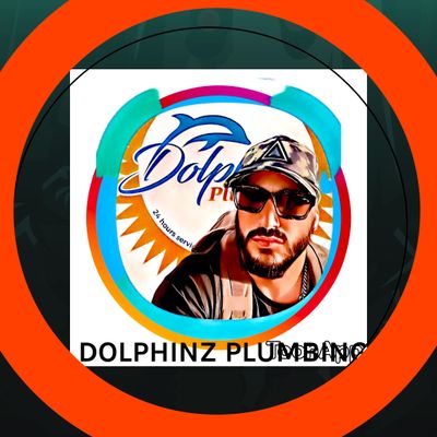 Avatar for DOLPHINZ PLUMBING
