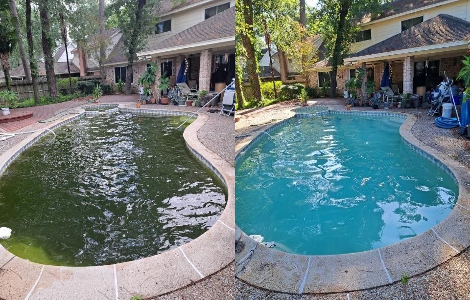 We specialize in fixing stubborn algae problems.