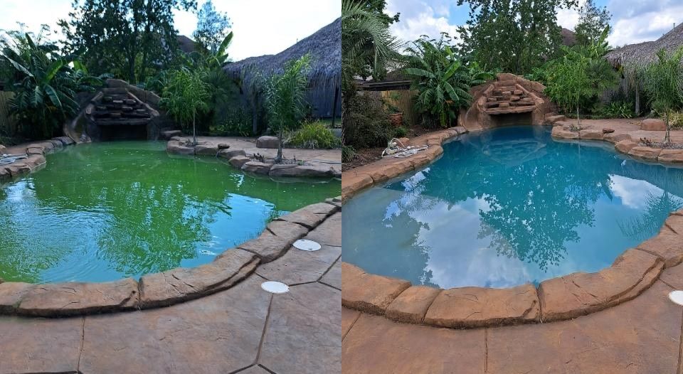 We can get your pool from Green to Clean in just a