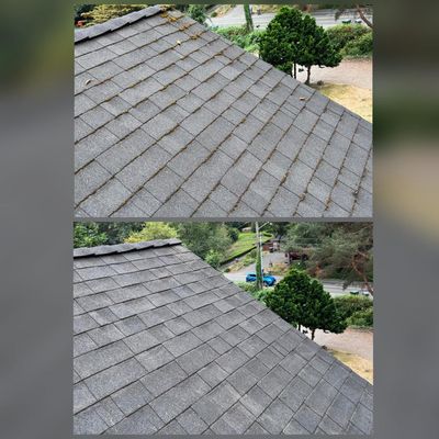Avatar for H&G Roof Cleaning and Exterior’s