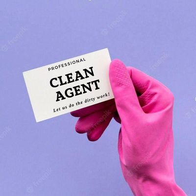 Avatar for Clean Agent