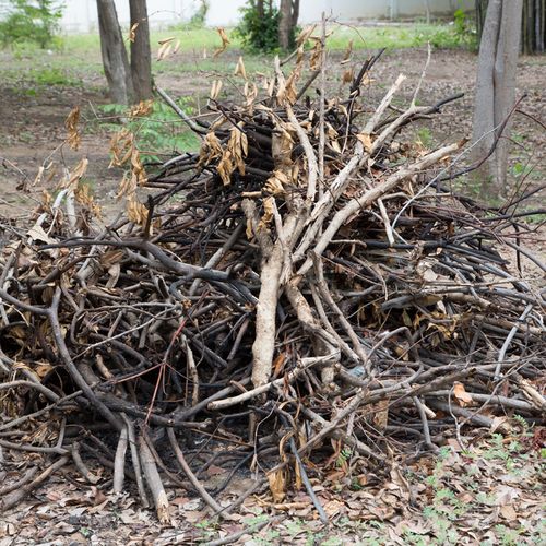 Yard Waste Removal