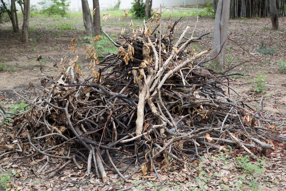 Yard Waste Removal