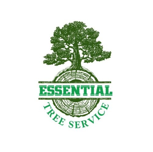 Essential Tree service