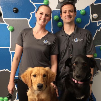 Avatar for Dog Training Elite Western Chicago