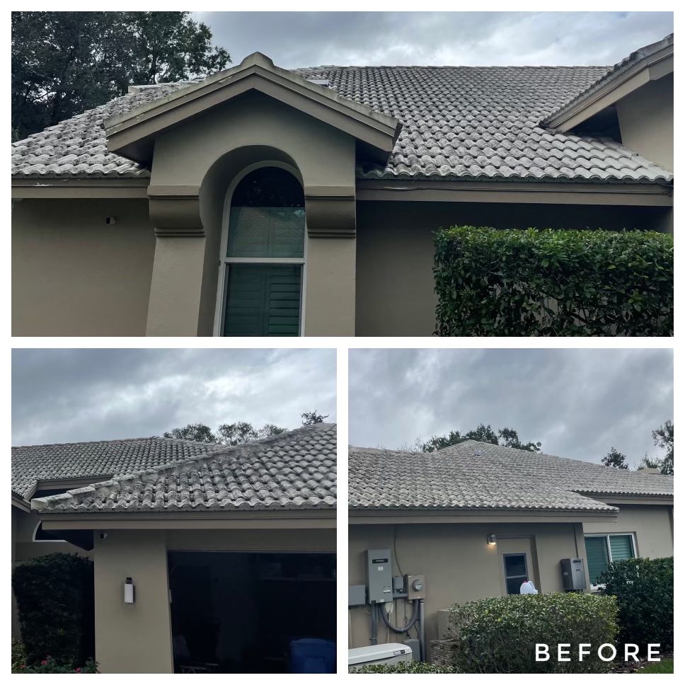 Roof Cleaning