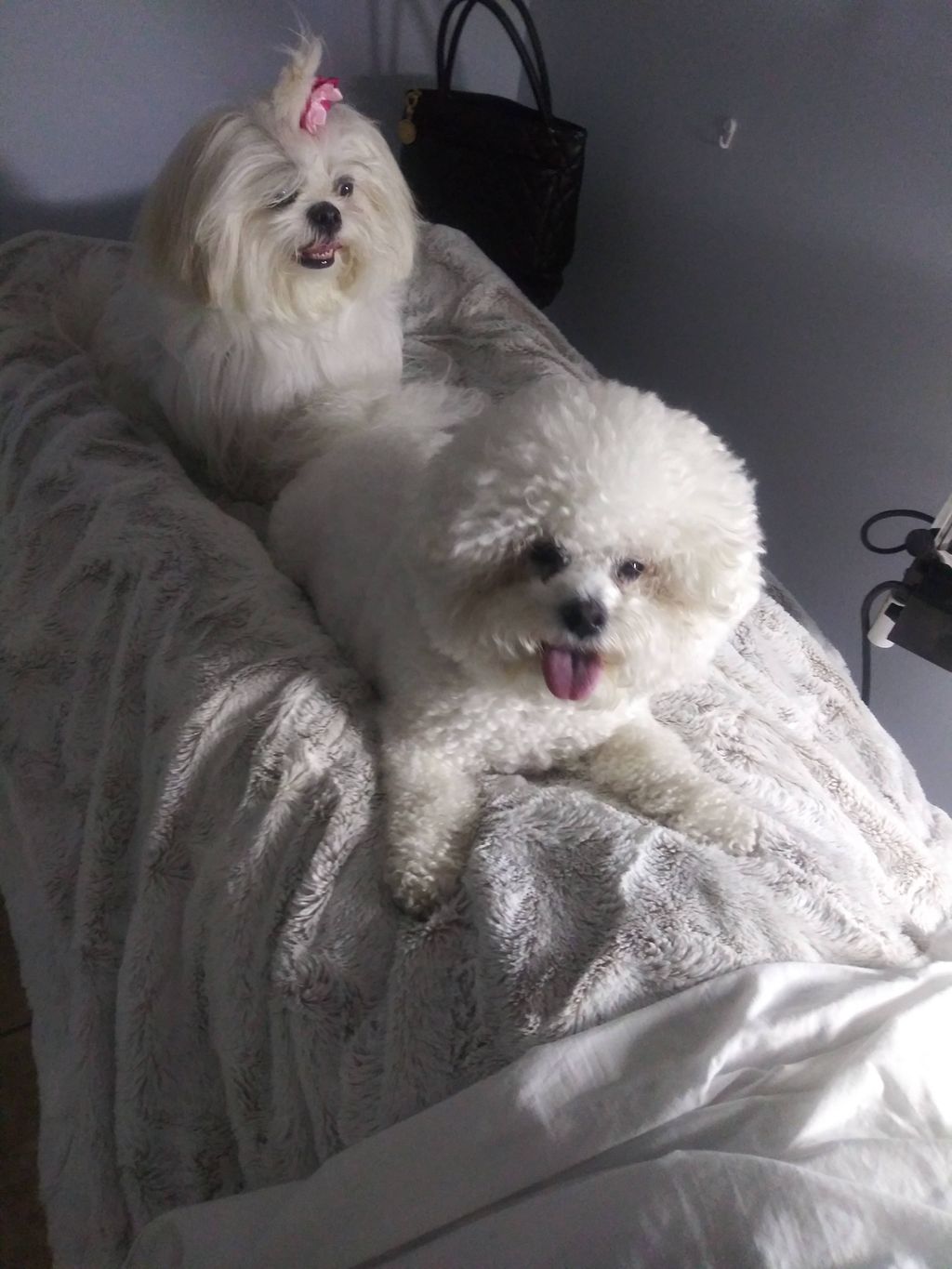 My Special Guests 😊