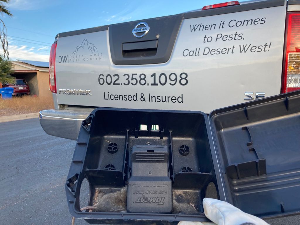 Desert West Pest Control keeps those Rodents away 