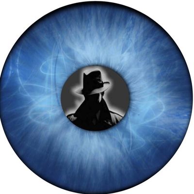 Avatar for Blue Iris Private Investigation Service