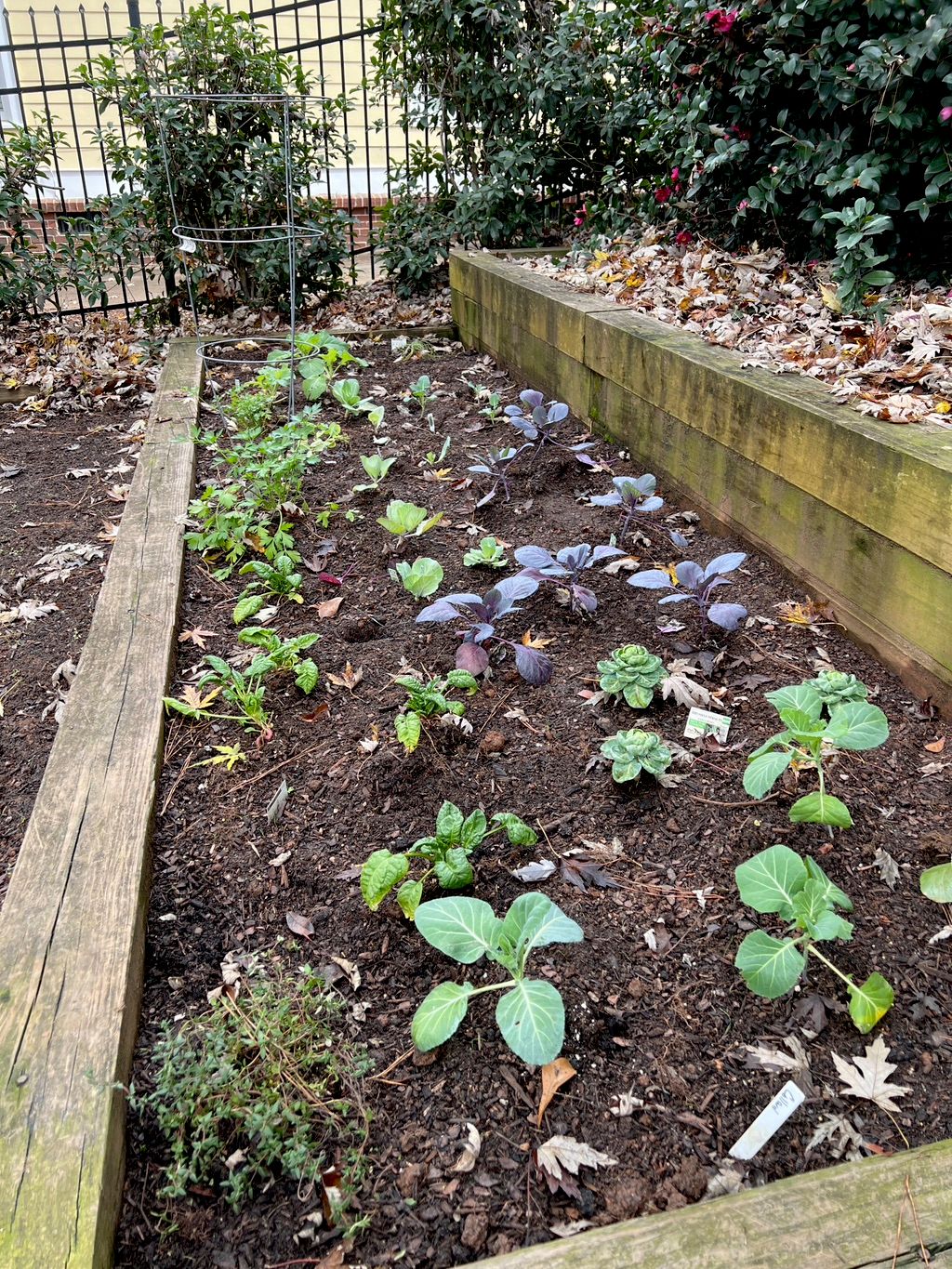 How Much Space Do You Need For a Vegetable Garden? - FineGardening