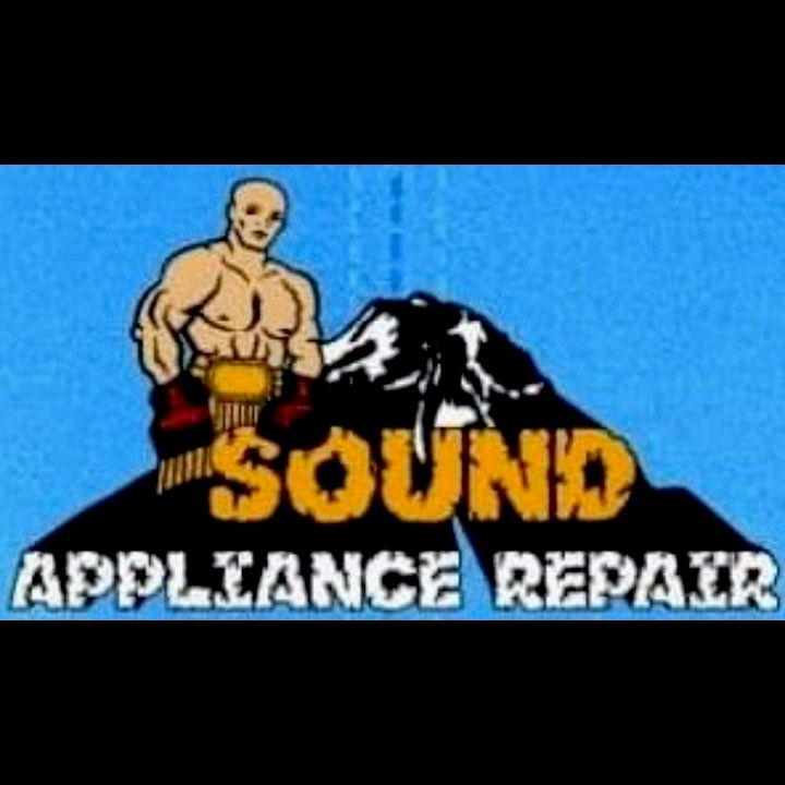 SOUND Repair & Installation Services