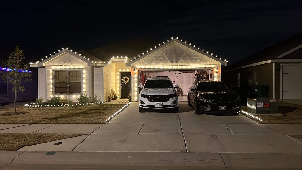 Alex went above and beyond on my Christmas lights!