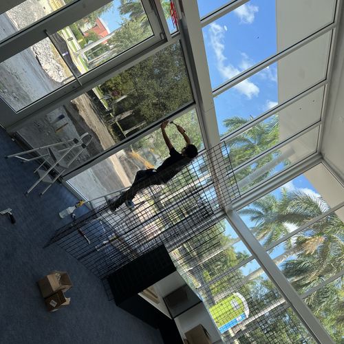 Window Tinting