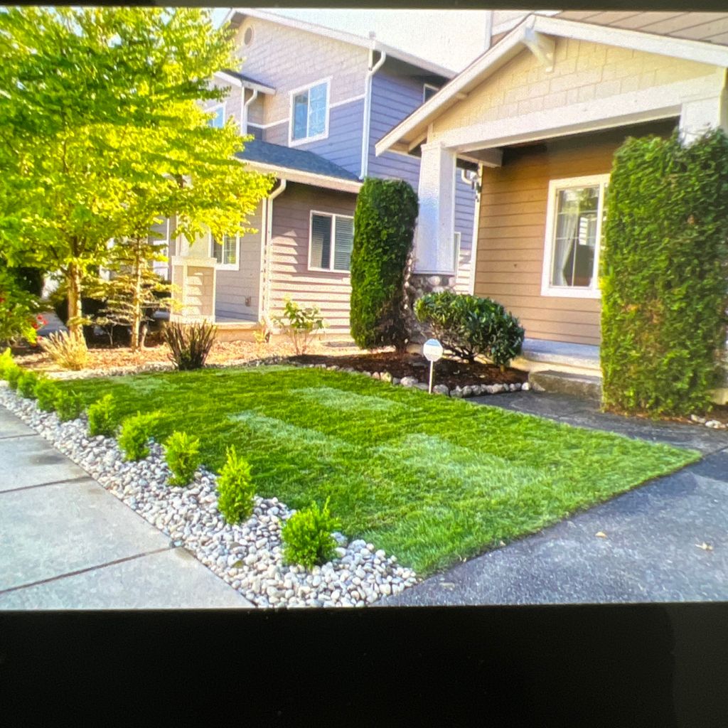 Alfredo’s landscaping