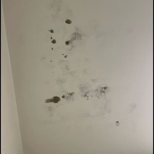 My tenant had some surface mold in the bathroom. J