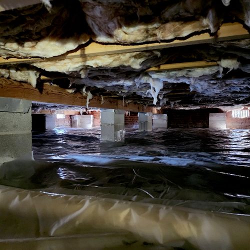 Crawl space cleaned from rodent activity