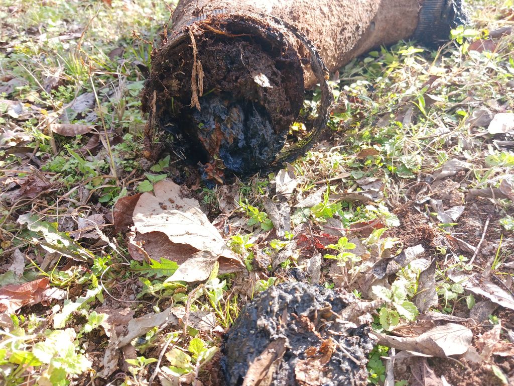 sewer line blockage/ roots 