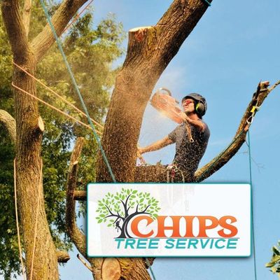 Avatar for Chips Tree and Landscape