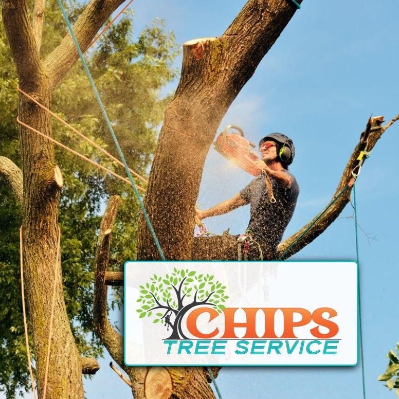 Chips Tree Service