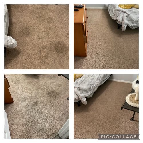 Lake Jackson, TX apartment carpet cleaning