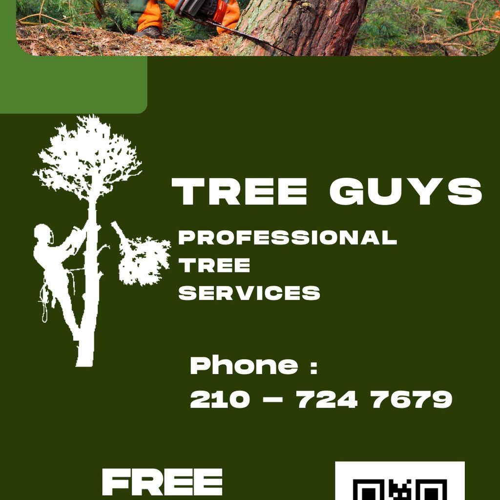 Tree Guys Tree Service