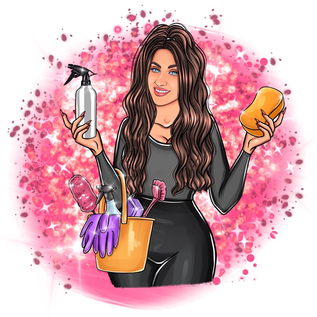 The Cleaning Lady GP. LLC