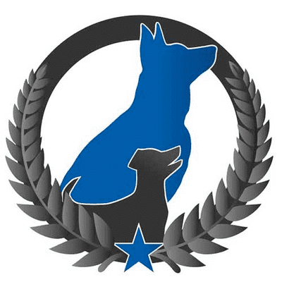 Avatar for Dog Training Elite South Boston