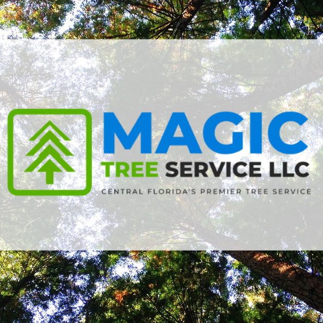 Magic Tree Service, LLC.