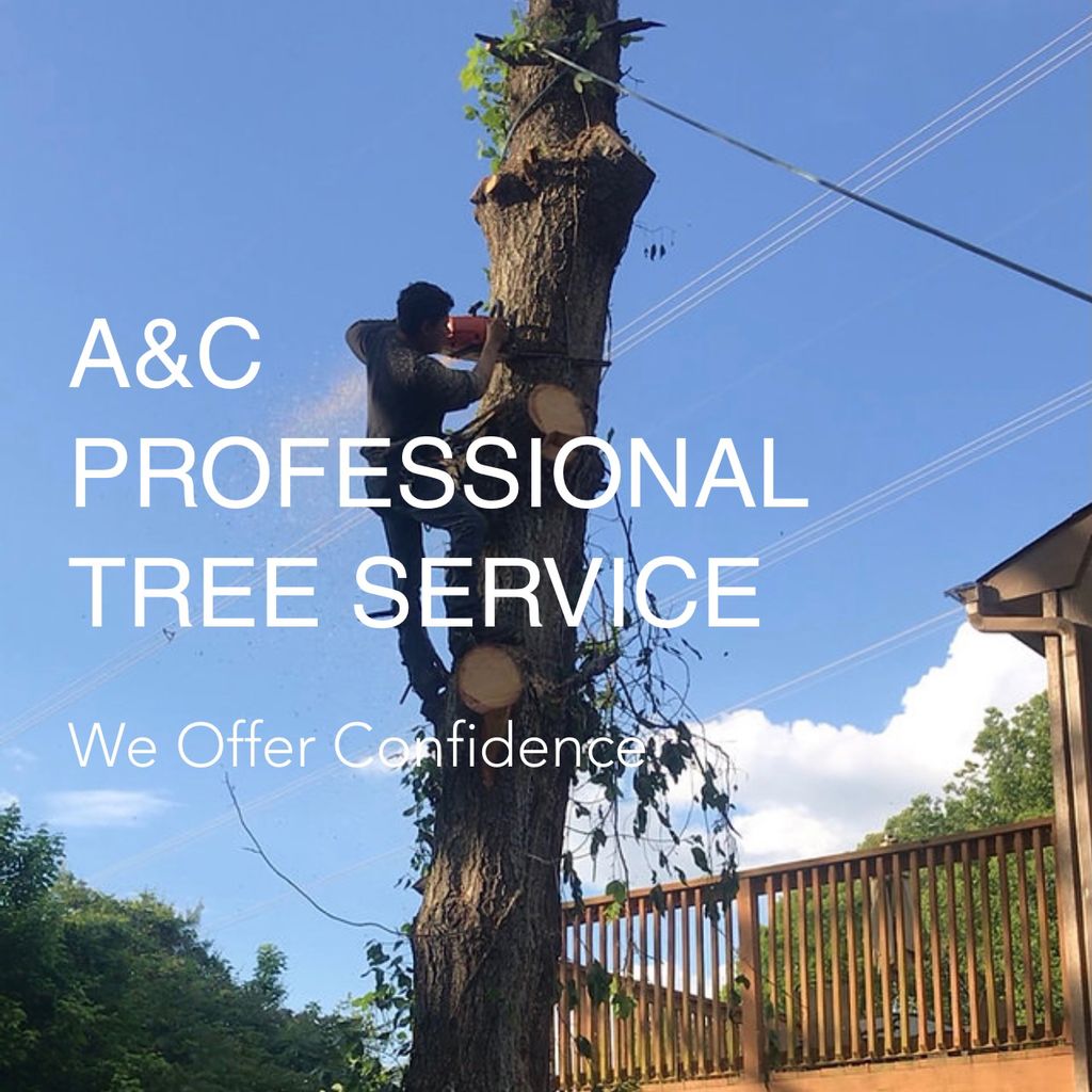 A & C Profesional Tree Service