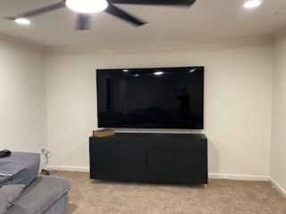 Projects and media