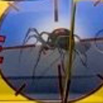 Avatar for Crossfire Pest & Termite