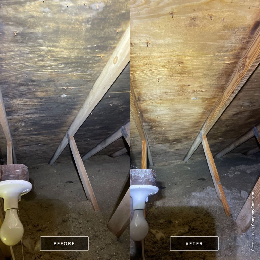 Odor Removal