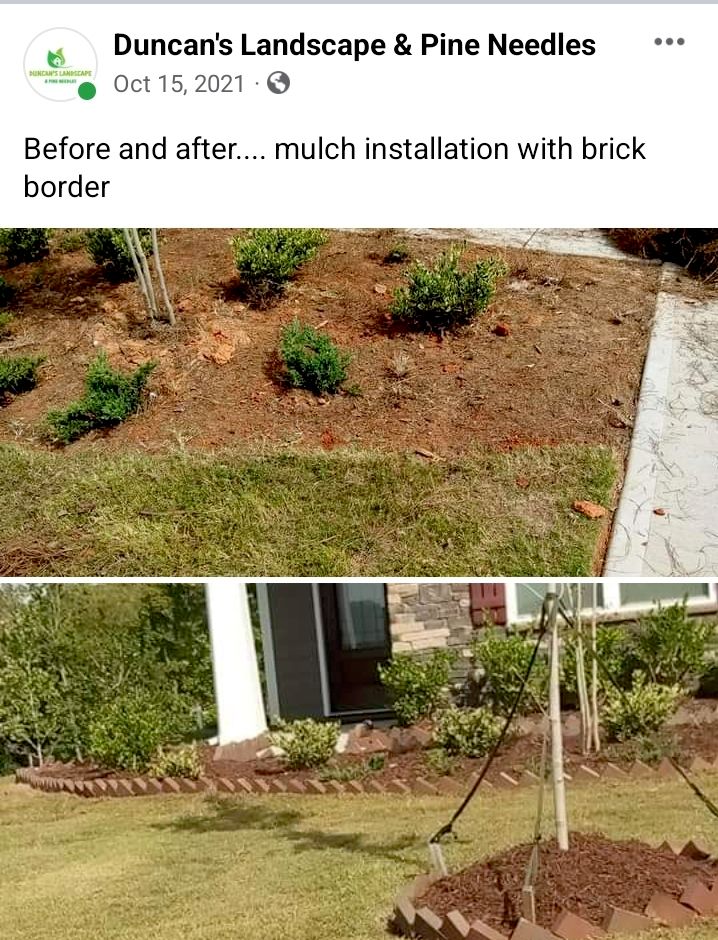 Mulch with border installation 