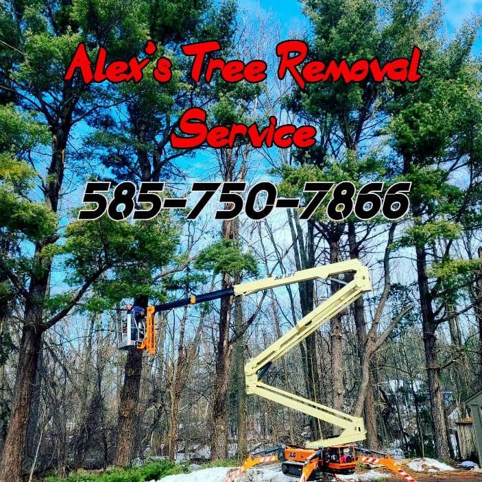 Alex's Tree Removal Service