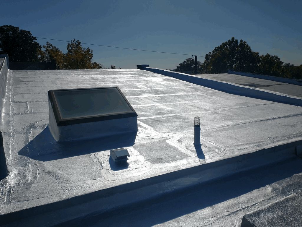 Roof Repair or Maintenance