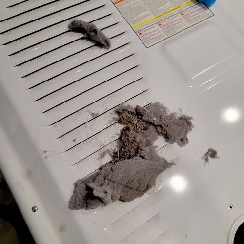 Dryer cleaning