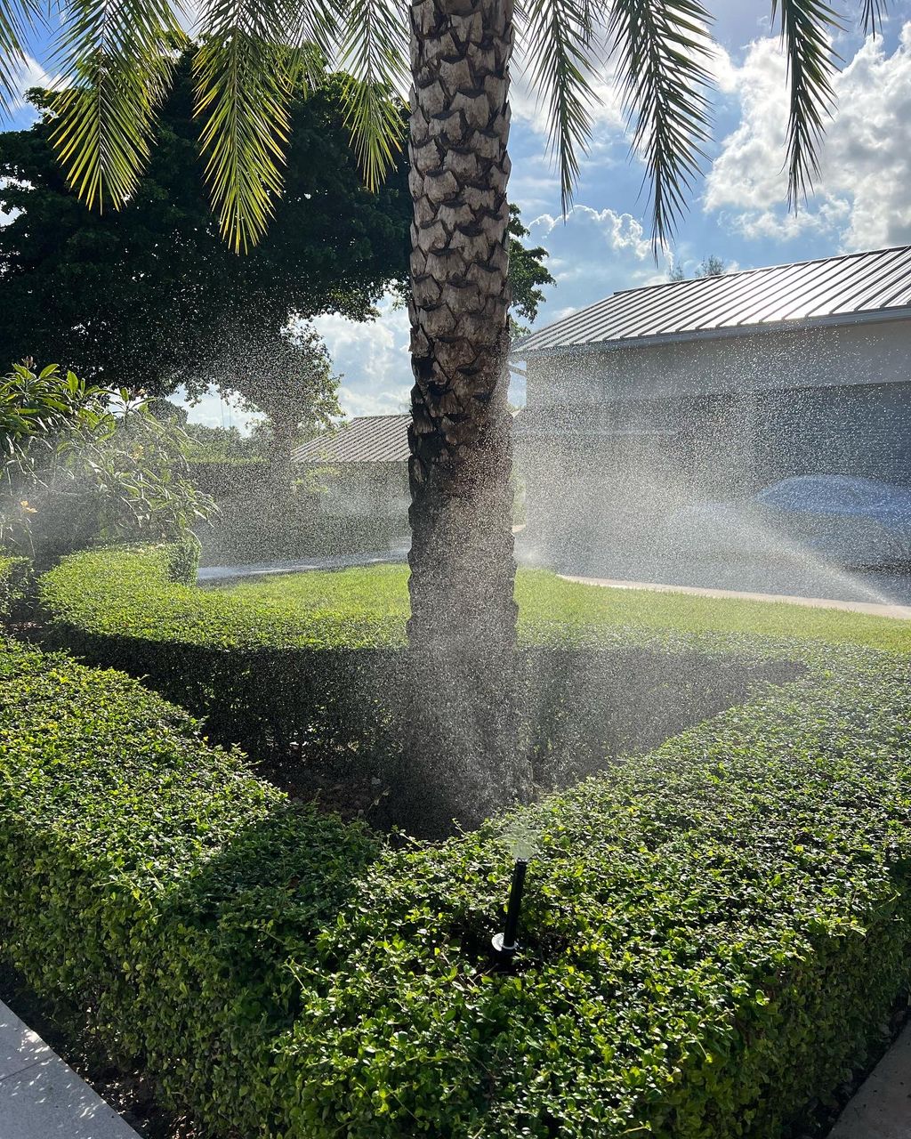 Sprinkler and Irrigation System Installation