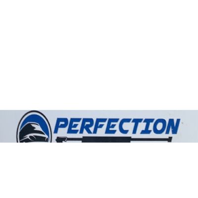 Avatar for Perfection Mobile Detailing Services
