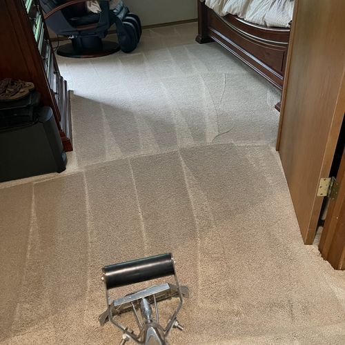 Make your carpets look new again