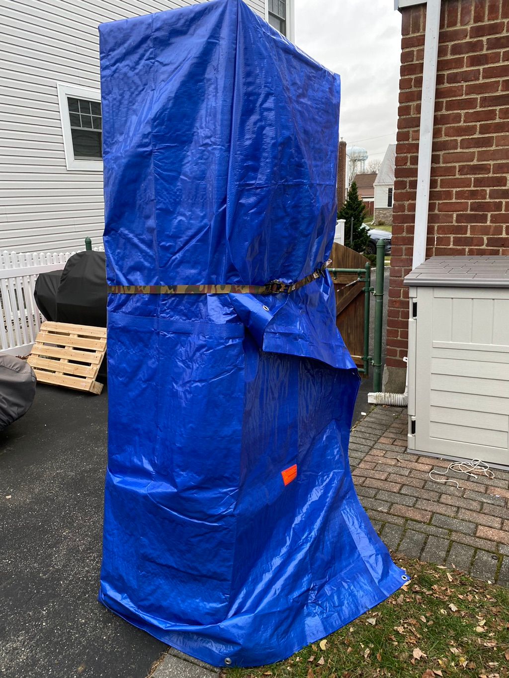 Customer photos